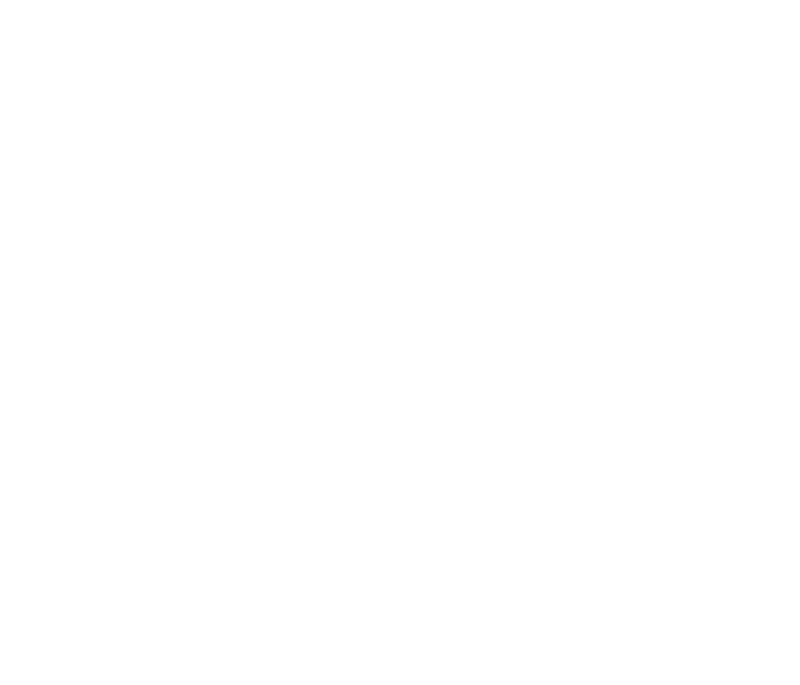 Sierra Business Services